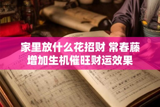 家里放什么花招财 常春藤增加生机催旺财运效果