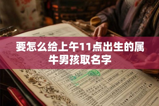 要怎么给上午11点出生的属牛男孩取名字