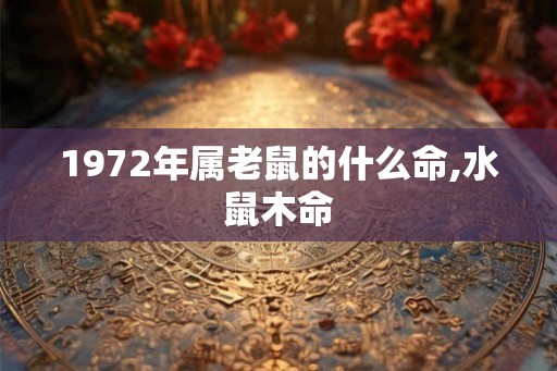 1972年属老鼠的什么命,水鼠木命