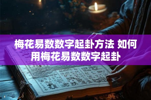 梅花易数数字起卦方法 如何用梅花易数数字起卦