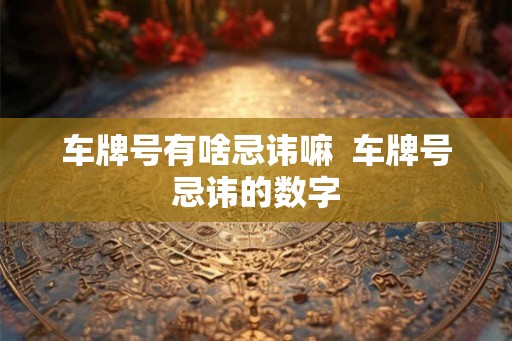 车牌号有啥忌讳嘛  车牌号忌讳的数字