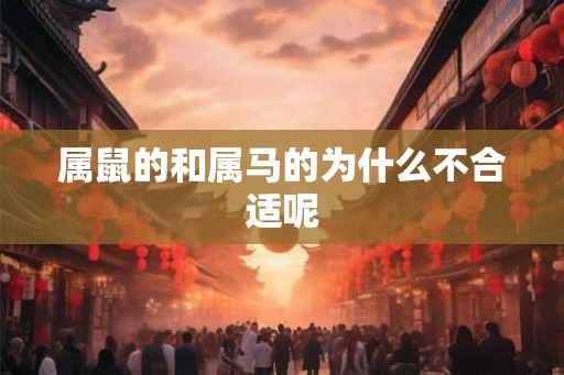 属鼠的和属马的为什么不合适呢