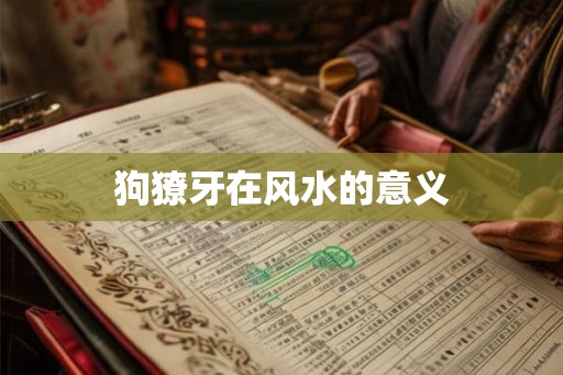 狗獠牙在风水的意义