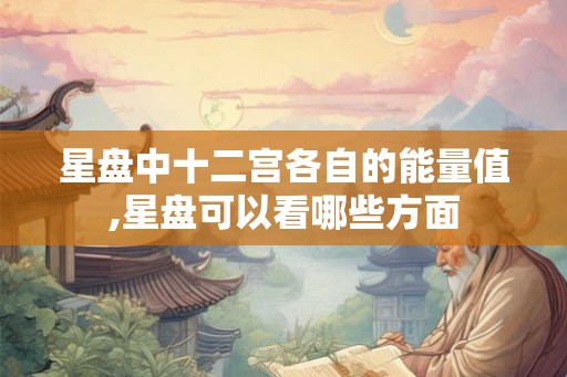 星盘中十二宫各自的能量值,星盘可以看哪些方面