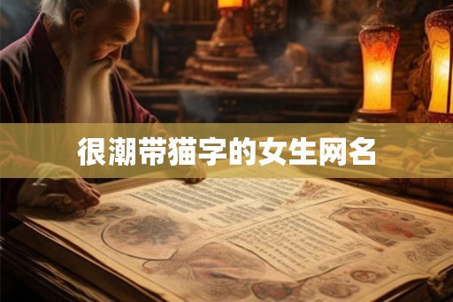 很潮带猫字的女生网名