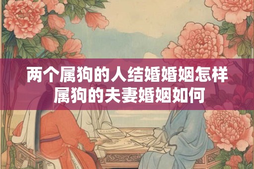 两个属狗的人结婚婚姻怎样 属狗的夫妻婚姻如何