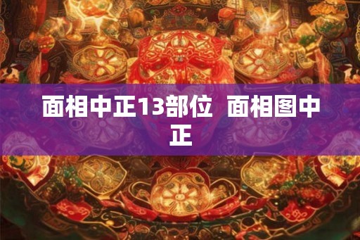 面相中正13部位  面相图中正