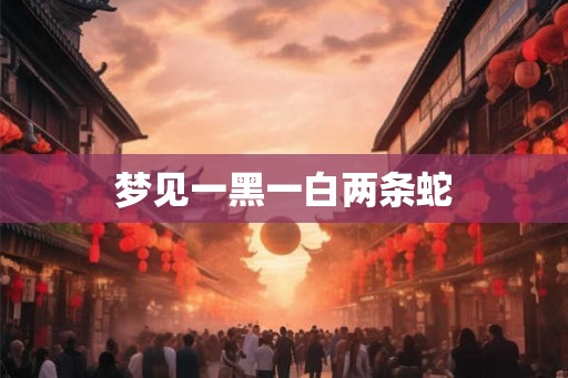 梦见一黑一白两条蛇