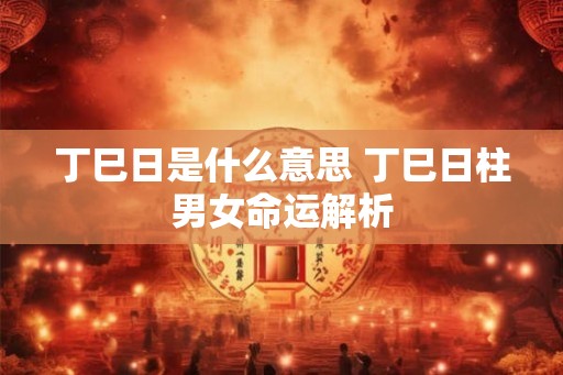 丁巳日是什么意思 丁巳日柱男女命运解析 丁巳日是什么意思 丁巳日柱男女命运解析