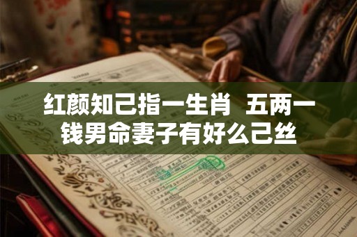 红颜知己指一生肖  五两一钱男命妻子有好么己丝