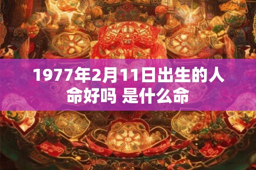 1977年2月11日出生的人命好吗 是什么命