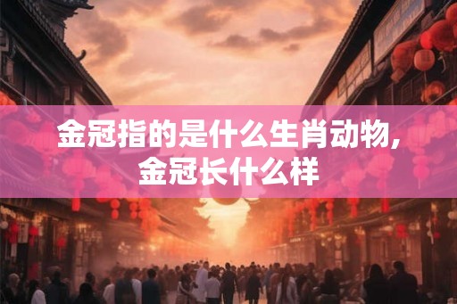 金冠指的是什么生肖动物,金冠长什么样