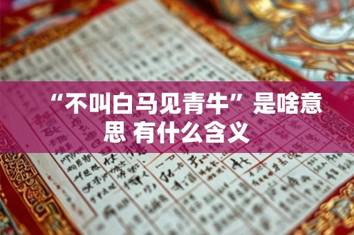 “不叫白马见青牛”是啥意思 有什么含义