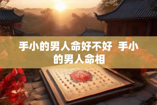 手小的男人命好不好  手小的男人命相