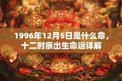 1996年12月5日是什么命，十二时辰出生命运详解