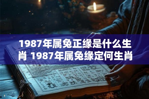 1987年属兔正缘是什么生肖 1987年属兔缘定何生肖