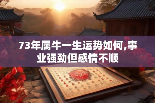 73年属牛一生运势如何,事业强劲但感情不顺