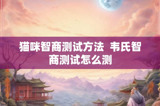 猫咪智商测试方法 韦氏智商测试怎么测 猫咪智商测试方法 韦氏智商测试怎么测
