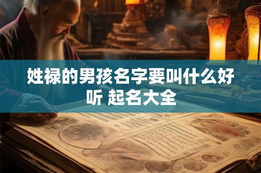 姓禄的男孩名字要叫什么好听 起名大全 姓禄的男孩名字要叫什么好听 起名大全
