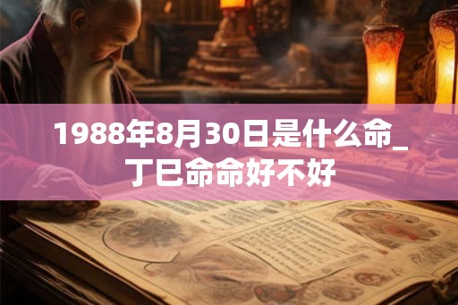 1988年8月30日是什么命_丁巳命命好不好