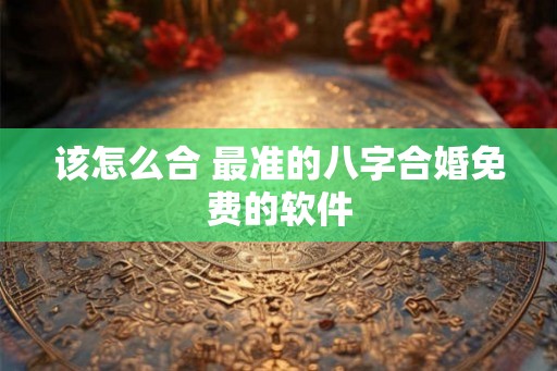 该怎么合 最准的八字合婚免费的软件
