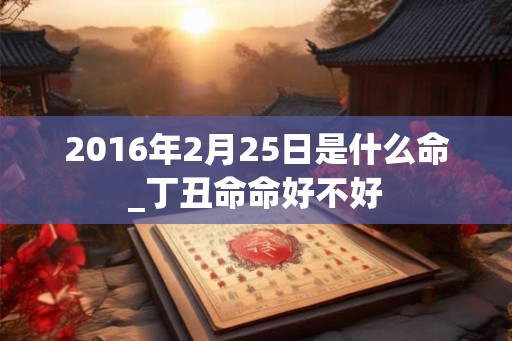 2016年2月25日是什么命_丁丑命命好不好 2016年2月25日是什么命_丁丑命命好不好