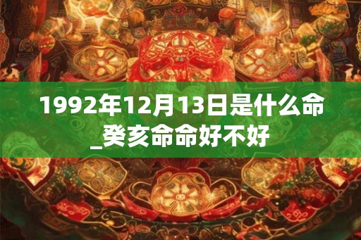 1992年12月13日是什么命_癸亥命命好不好