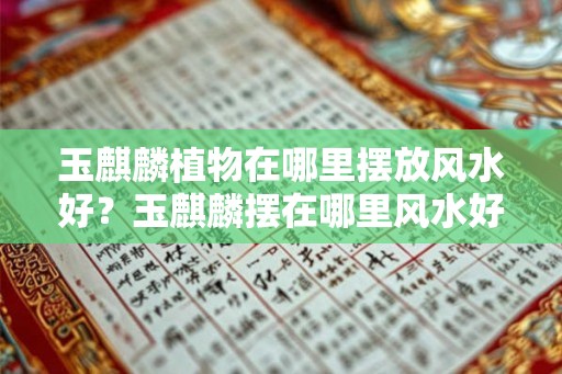 玉麒麟植物在哪里摆放风水好？玉麒麟摆在哪里风水好？