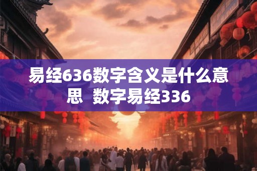 易经636数字含义是什么意思  数字易经336