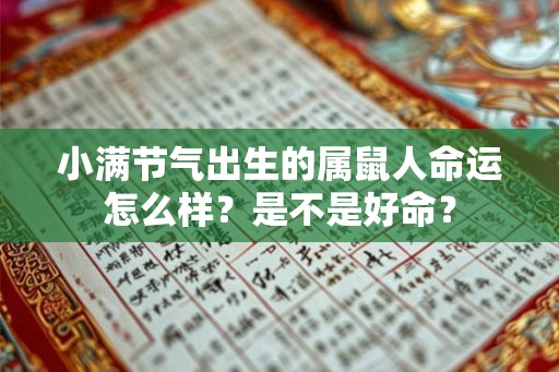 小满节气出生的属鼠人命运怎么样？是不是好命？