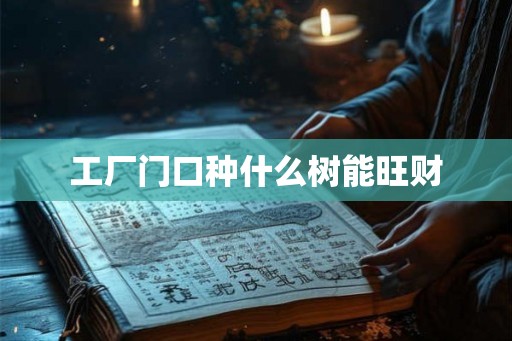 工厂门口种什么树能旺财