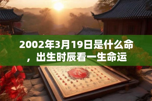 2002年3月19日是什么命，出生时辰看一生命运