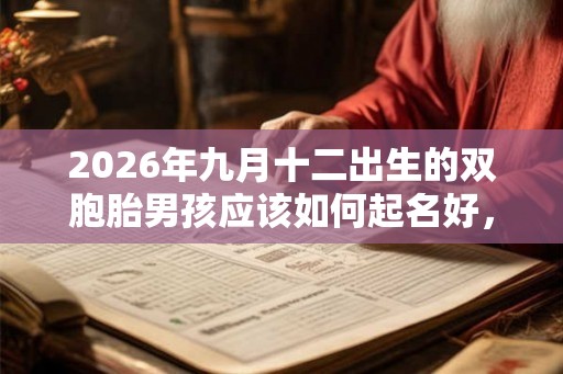 2026年九月十二出生的双胞胎男孩应该如何起名好，五行属什么