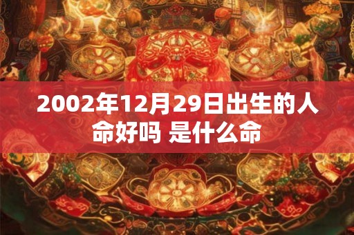 2002年12月29日出生的人命好吗 是什么命