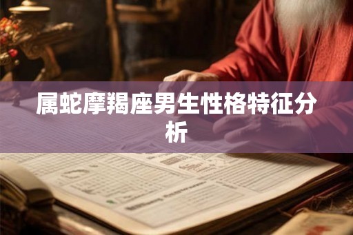 属蛇摩羯座男生性格特征分析