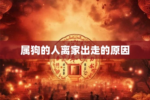 属狗的人离家出走的原因