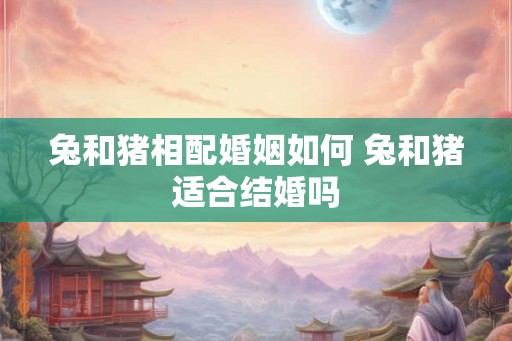 兔和猪相配婚姻如何 兔和猪适合结婚吗 兔和猪相配婚姻如何 兔和猪适合结婚吗