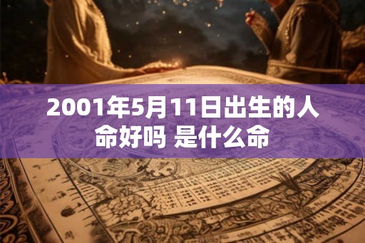2001年5月11日出生的人命好吗 是什么命