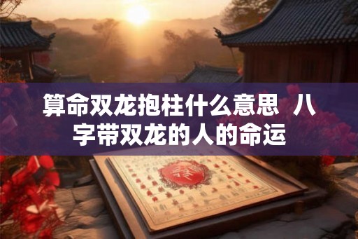 算命双龙抱柱什么意思  八字带双龙的人的命运