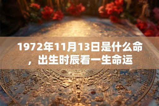 1972年11月13日是什么命，出生时辰看一生命运