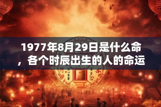 1977年8月29日是什么命，各个时辰出生的人的命运