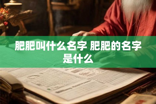 肥肥叫什么名字 肥肥的名字是什么