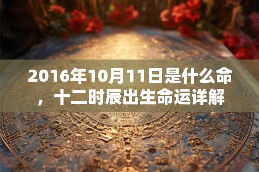 2016年10月11日是什么命，十二时辰出生命运详解