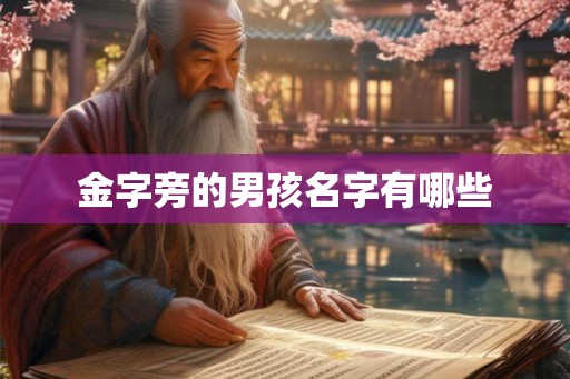 金字旁的男孩名字有哪些