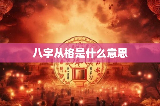 八字从格是什么意思
