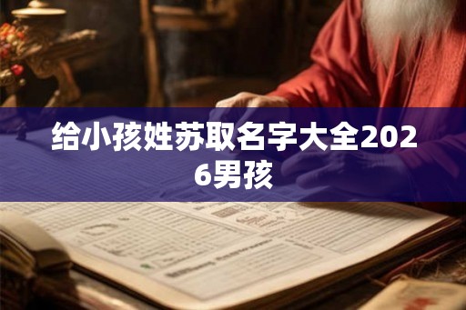 给小孩姓苏取名字大全2026男孩