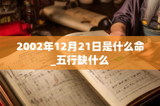 2002年12月21日是什么命_五行缺什么