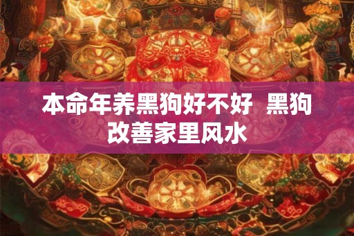 本命年养黑狗好不好  黑狗改善家里风水