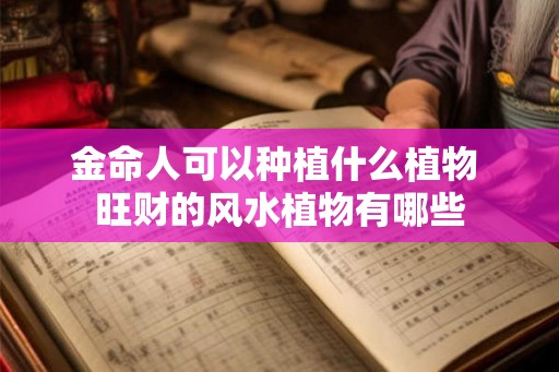 金命人可以种植什么植物 旺财的风水植物有哪些 金命人可以种植什么植物 旺财的风水植物有哪些