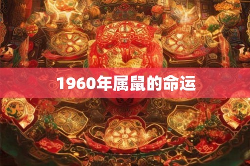 1960年属鼠的命运